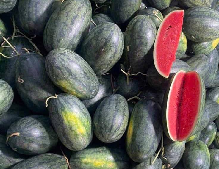 Drink watermelon juice in the morning, especially early in the morning to support iron supplementation, improve anemia. Photo: Kieu Vu