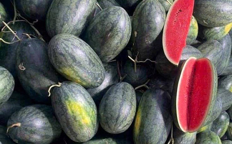 Drink watermelon juice in the morning, especially early in the morning to support iron supplementation, improve anemia. Photo: Kieu Vu