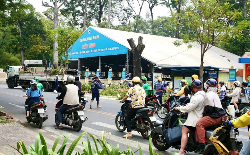 Trees affected when renovating sidewalks, Ho Chi Minh City residents worry