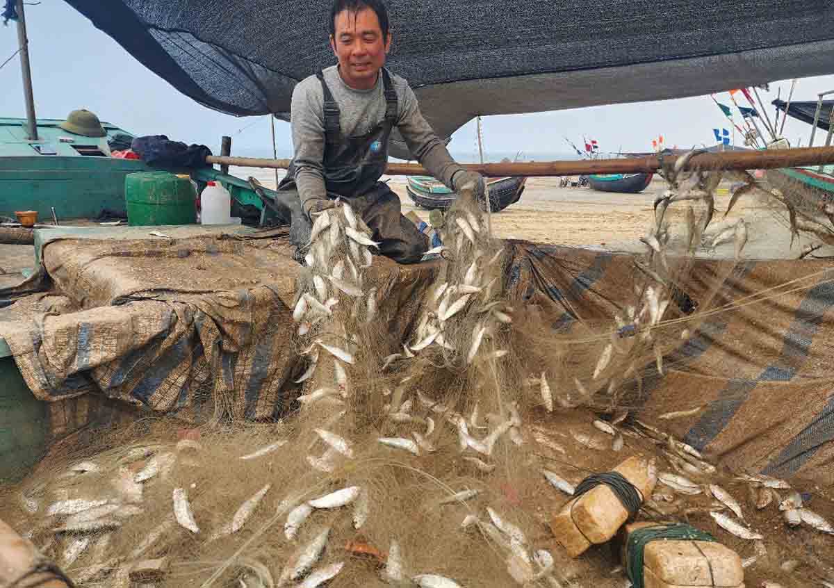 Ngu dan phan khoi voi tam luoi mac day ca trich. Anh: Tran Tuan.