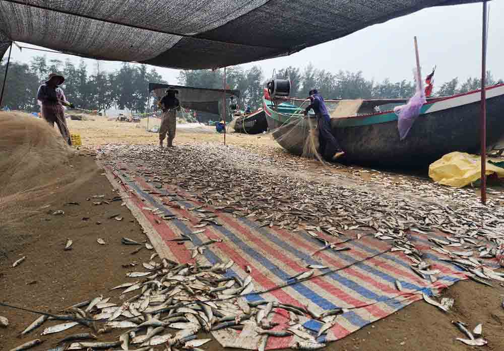 Ngu dan ru luoi de gom ca. Anh: Tran Tuan.