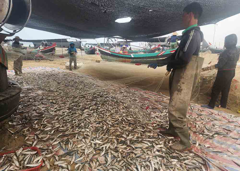 Moi chuyen ra khoi, voi tau trung dam cho thu nhap hon chuc trieu dong. Anh: Tran Tuan.