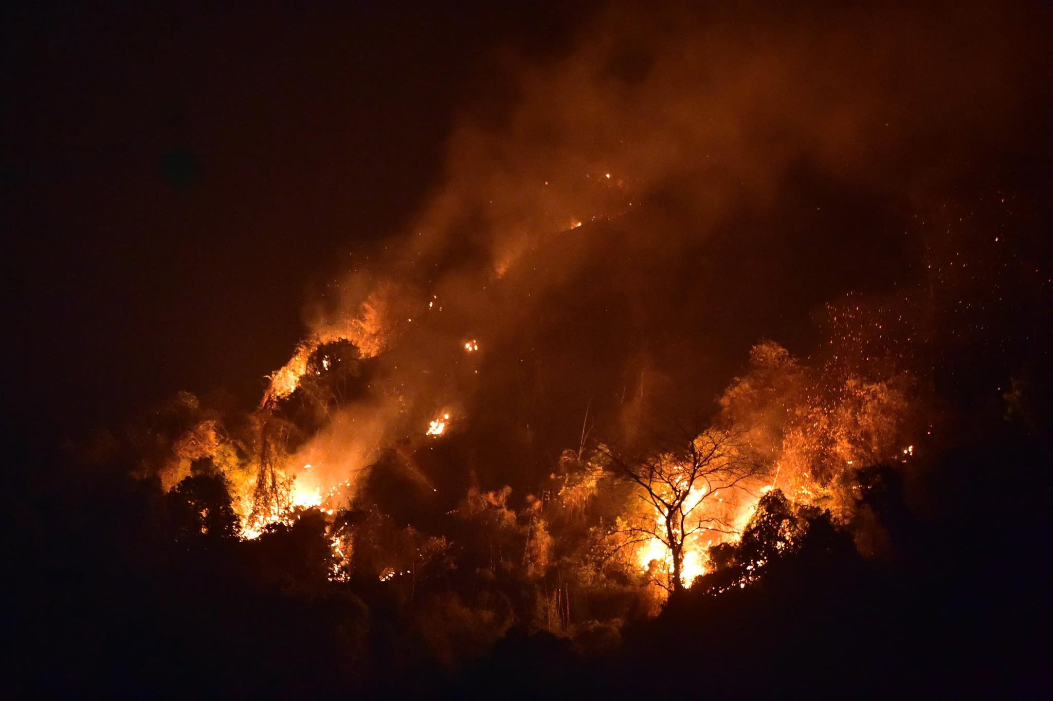 The dry weather also with people burning nests and dividing forests has increased the risk of forest fires. Photo: Viet Bac.