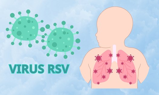 Nhóm người có nguy cơ cao nhiễm virus RSV