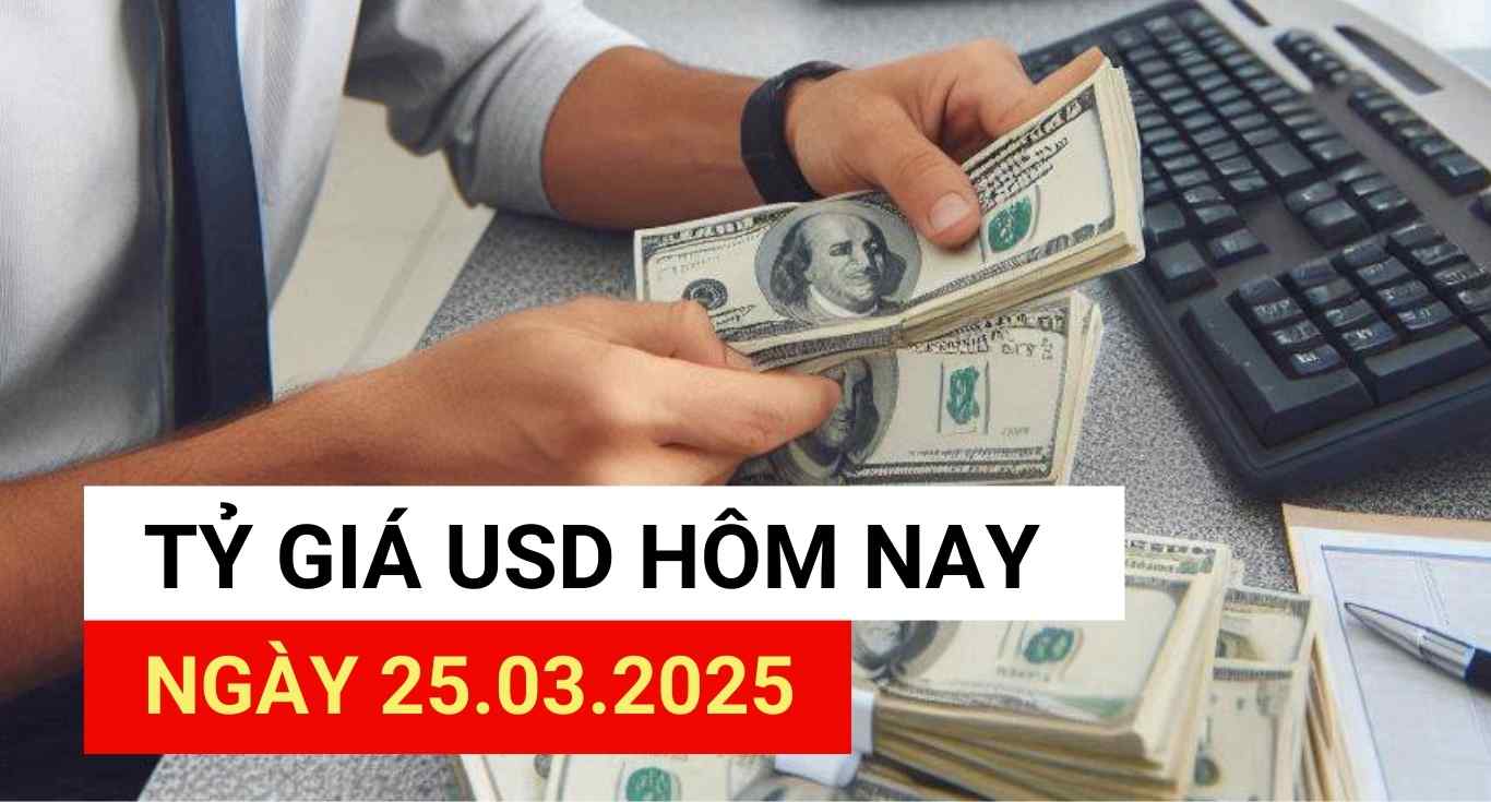 USD exchange rate today 25.3.2025.