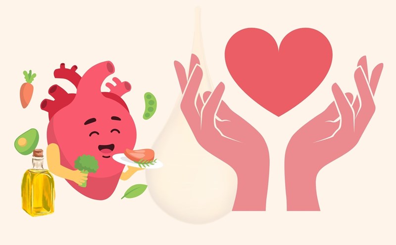 Healthy cooking oil for heart health. Graphics: Dinh Dinh