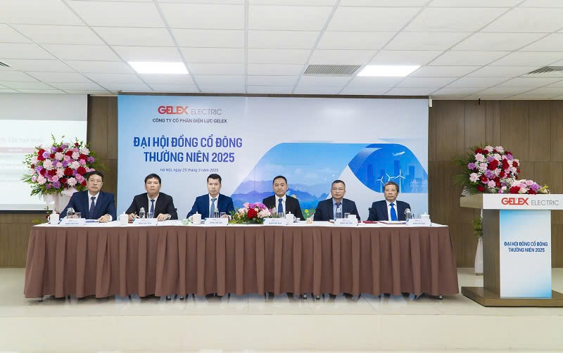 DHDCD thuong nien GELEX Electric dien ra sang 25.3 bang hinh thuc Dai hoi truc tuyen va bo phieu dien tu. Anh:GL