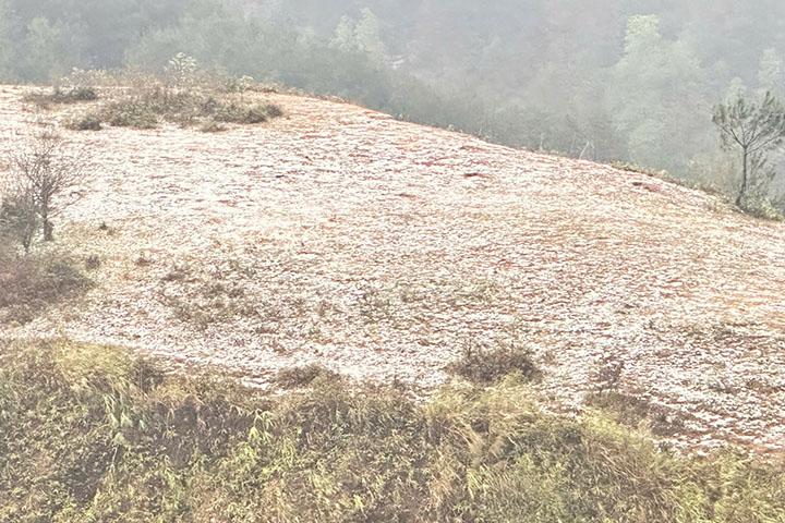 White ice and rain in the Pha Din Pass top area (adjacent to Dien Bien and Son La provinces). Photo: Thai Hoa.