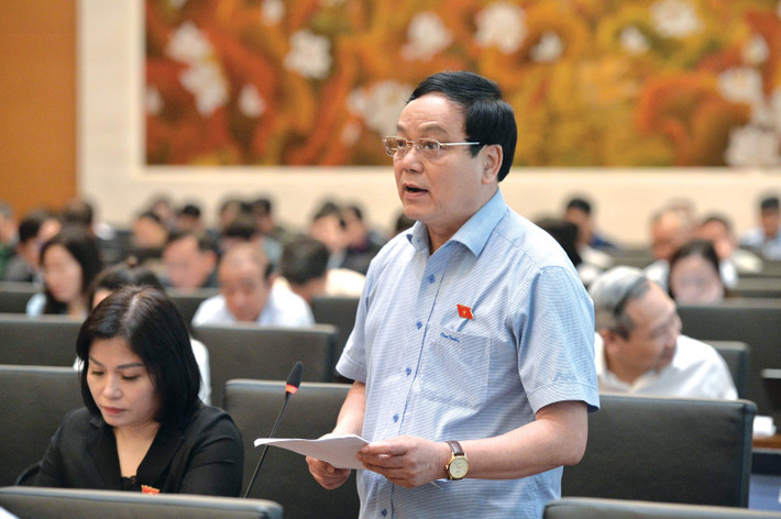 National Assembly delegate Hoang Duc Thang (Quang Tri delegation) spoke. Photo: Ho Long.