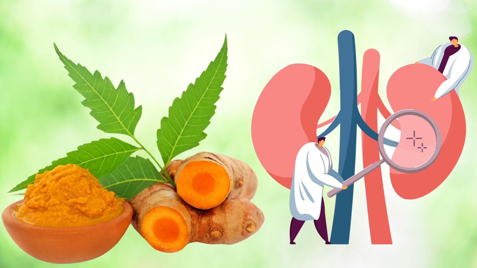 Turmeric is good for the kidneys but not just eating a lot is effective