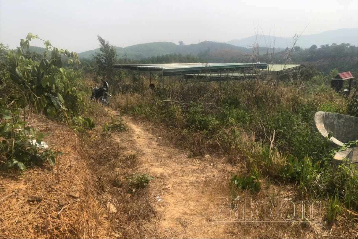 The scene of the young man's hanging death. Photo: Quang Vu