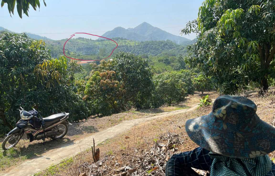 Many farmers in the cemetery area were startled to learn that the illegal drug factory next to it was a drug factory. Photo: Thao Linh