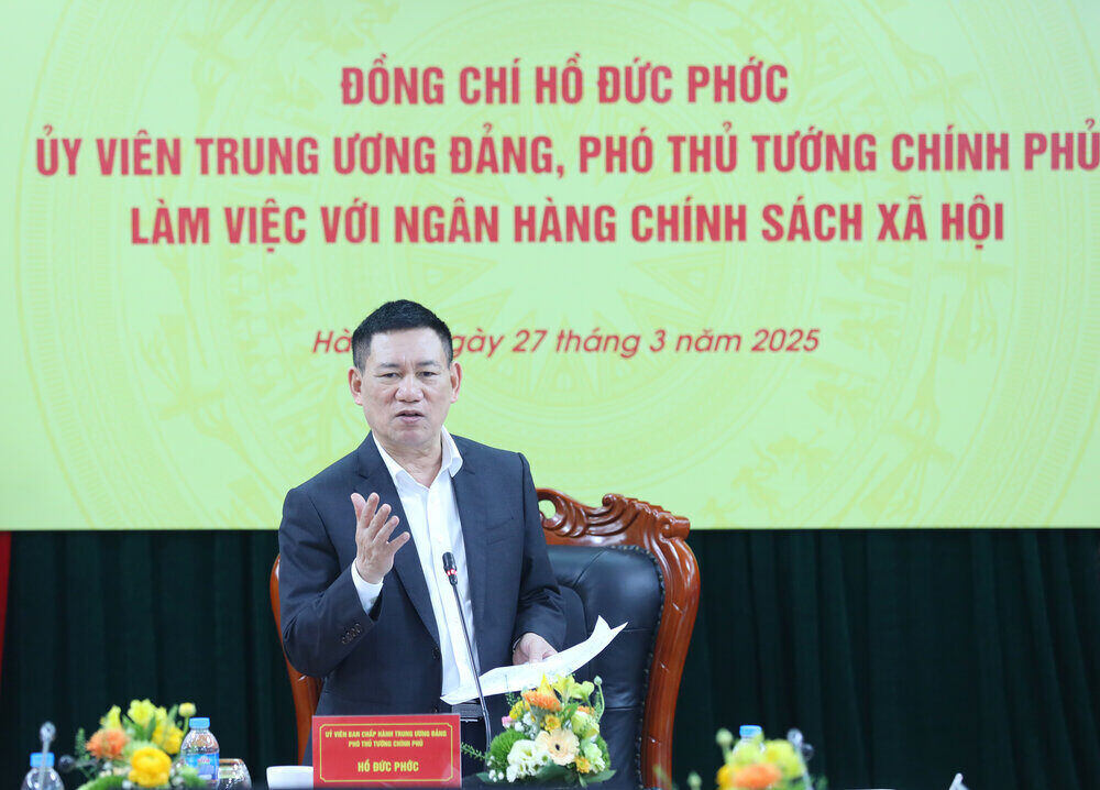 Pho Thu tuong Chinh phu Ho Duc Phoc phat bieu ket luan tai buoi lam viec voi NHCSXH. Ảnh: NHCSXH