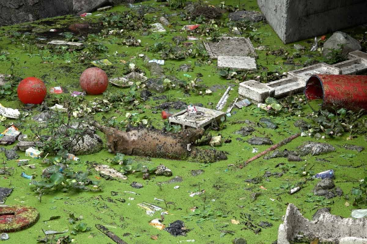 Household waste, animal carcasses on the canal in the Cho bridge area, Quang Yen town, Quang Ninh province. Photo: Doan Hung