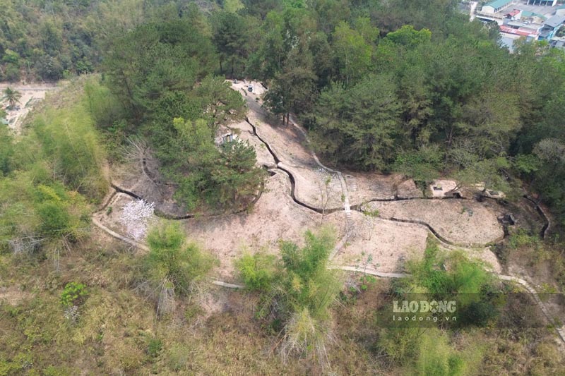 Him Lam Hill - Dien Bien Phu City will build an irrigation system to care for trees. Photo: Quang Dat