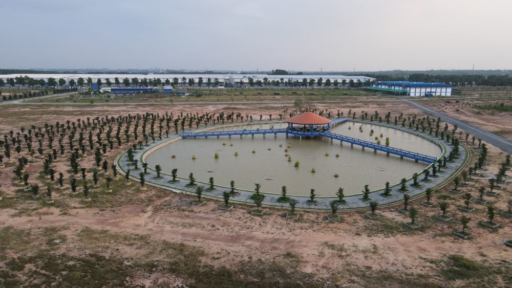 The land for the Thu Dau Mot University construction project. Photo: Dinh Trong