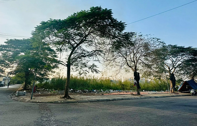 The land leased to build An Dong market (An Duong district, Hai Phong) has not been implemented for many years. Photo: Minh Hung