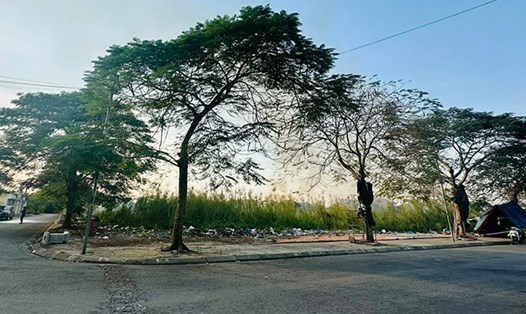 Khu đất được cho thuê để xây chợ An Đồng (quận An Dương, Hải Phòng) nhiều năm nay vẫn chưa được thực hiện. Ảnh: Minh Hùng