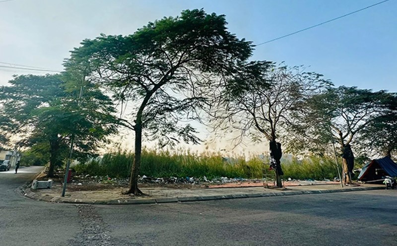 The land leased to build An Dong market (An Duong district, Hai Phong) has not been implemented for many years. Photo: Minh Hung