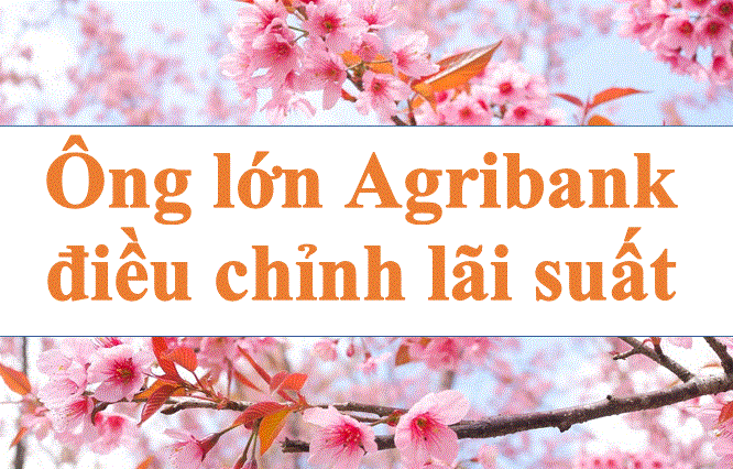 The giant Agribank adjusts interest rates. Photo: Ha Vy