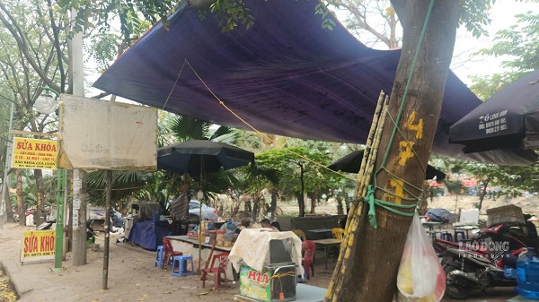 Vuon hoa cay xanh bi hang quan lan chiem. Anh: Minh Hanh chup 14h00 ngay 28.3.2025.
