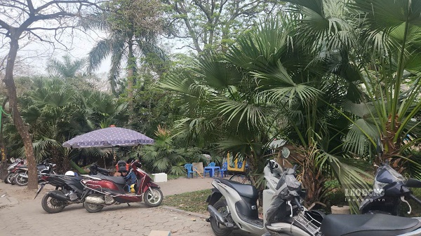 Hang quan va xe co lan chiem via he vuon hoa cay xanh. Anh: Minh Hanh