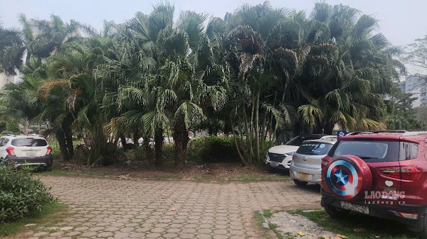 Green space on Kim Giang street is occupied. Photo: Minh Hanh taken at 2:10 p.m. on March 28, 2025.
