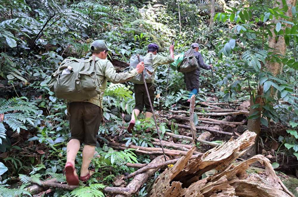 Forest rangers patrol and protect forests ( many officers have not received their salaries). Photo: KL provided.