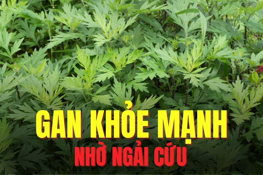 Treatment can help improve liver function. Graphics: Tra My