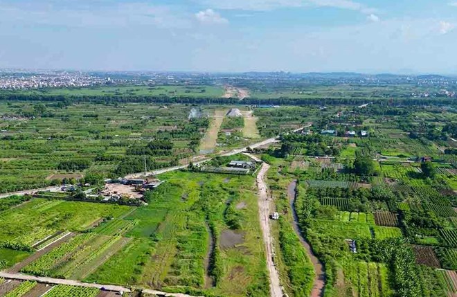 Converting agricultural land to residential land, people need to know how to calculate land use fees to optimize costs. Illustrative photo: Huu Chanh