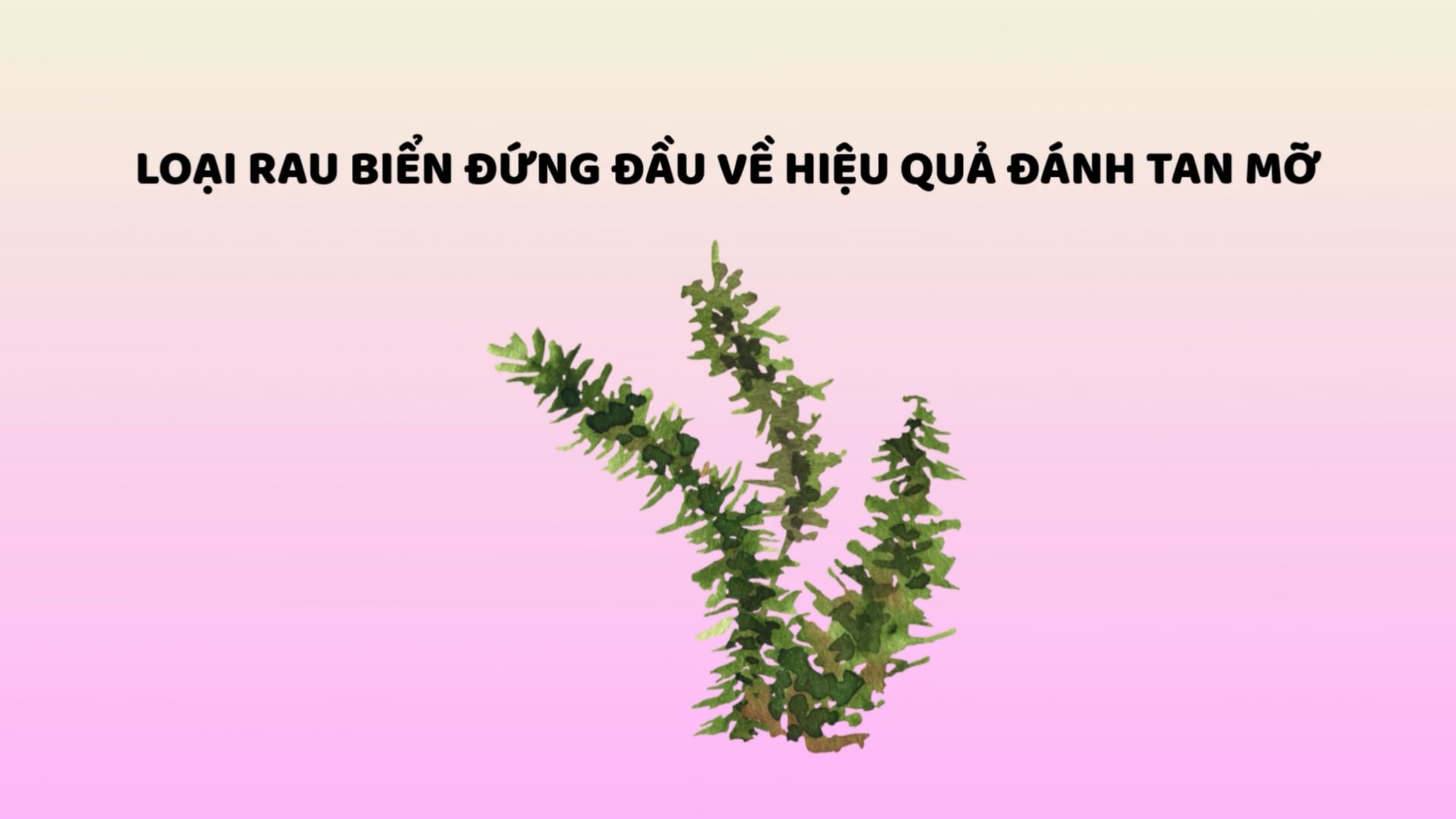 Seaweed is the top in terms of fat-reducing and weight loss. Graphics: Huyen Trang