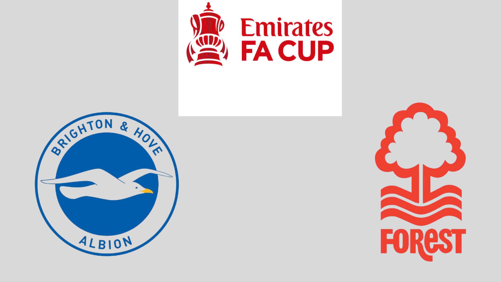 Brighton face Nottingham in the FA Cup. Graphics: Van An