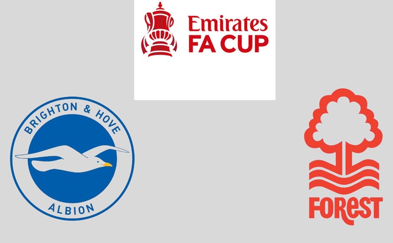 Brighton face Nottingham in the FA Cup. Graphics: Van An