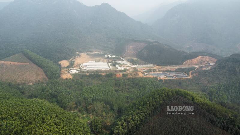 El campamento de cerdos se ha desatado en las aguas superiores, lo que ha causado inquietud en la poblacion. Imagen de Lam Thanh