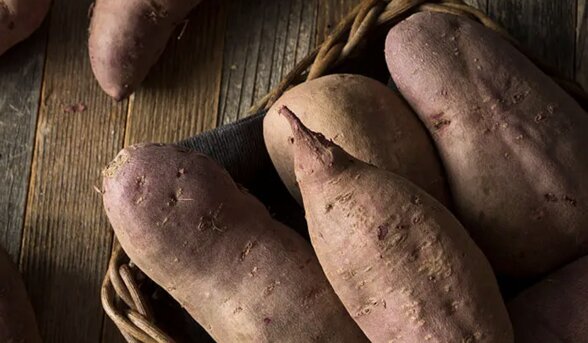 4 ways to prepare sweet potatoes for breakfast for people who are losing weight. Photo: AI