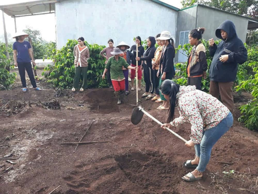 Women in Ia Grai district are taught coffee growing techniques. Photo: Thanh Tuan