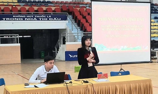 Phiên đấu giá quyền sử dụng đất tại thôn Thạch Lỗi, xã Thanh Xuân, huyện Sóc Sơn, Hà Nội. Ảnh: TTXVN
