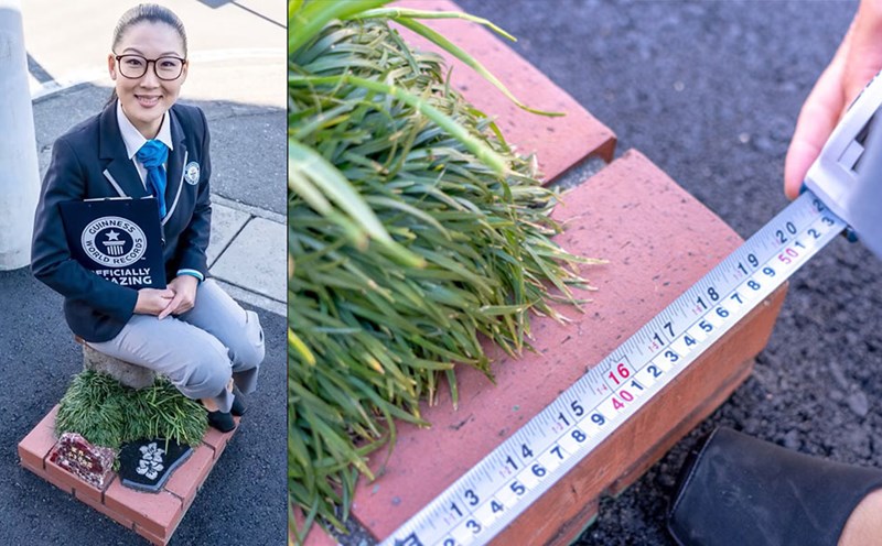 Japan officially owns the Guinness World Record for the smallest park in the world. Photo: Guinness World Records