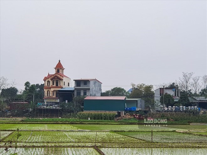 The area of agricultural land division in provinces and cities is different. Illustrative photo: Phan Anh
