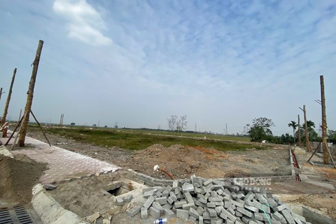 A plot of land was once auctioned in Thanh Oai (Hanoi). Photo: Nhu Ha