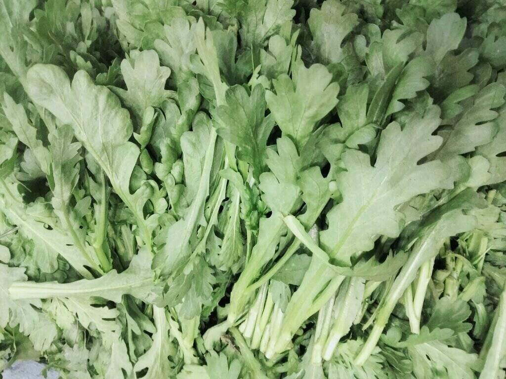 Properly processing chrysanthemum cabbage will have a detoxifying effect on the body. Photo: Kieu Vu