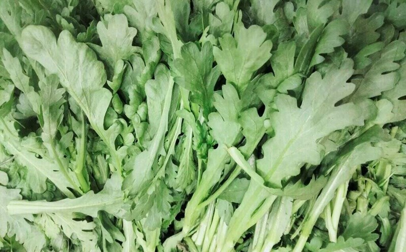 Properly processing chrysanthemum cabbage will have a detoxifying effect on the body. Photo: Kieu Vu