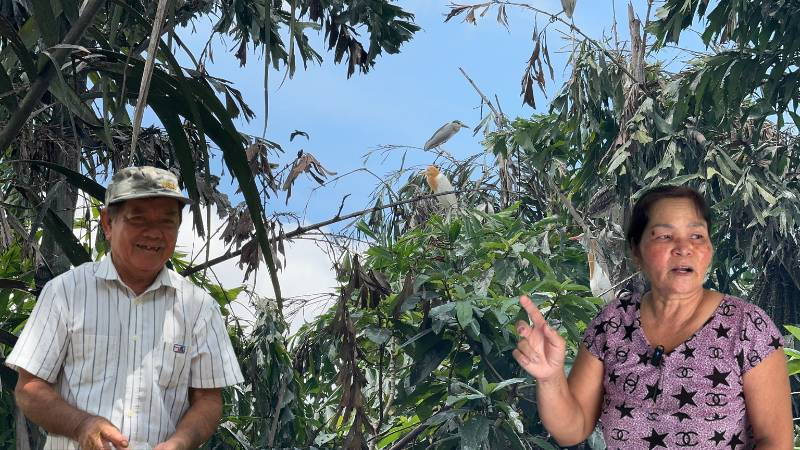 El parque de aves de Tra-Oon ha reducido a la mitad sus aves por caza furtiva. Imagen de la ciudad de Huanglong