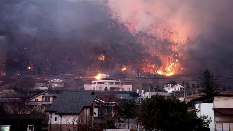 Unas 48.000 hectareas de bosque en Corea, el equivalente al 80% de la superficie de la capital, Seul, han sido quemadas. Imagen de la agencia Xinhua