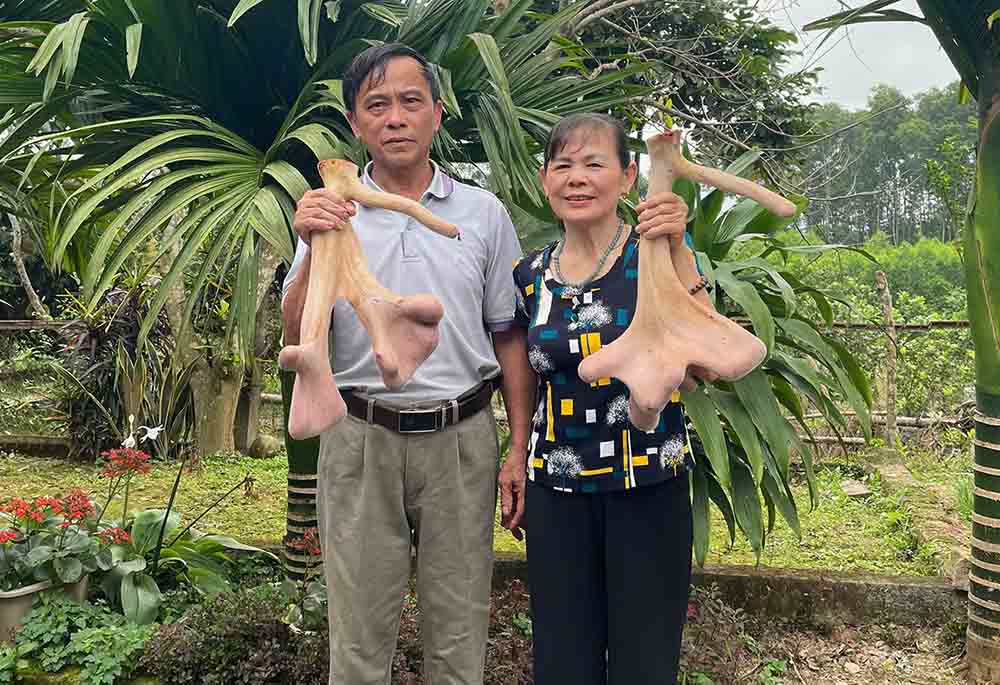 Gia dinh ba My phan khoi khoe cap nhung nang ki luc, den hon 4kg. Anh: Tran Tuan.