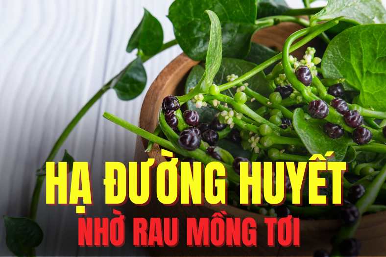 Malabar spinach is a food that can effectively support lowering blood sugar. Graphics: Tra My