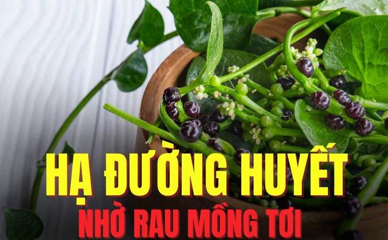 Malabar spinach is a food that can effectively support lowering blood sugar. Graphics: Tra My