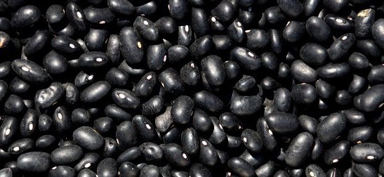 La fibra es un componente importante de la dieta. Imagen: Pham My. (Ahora, el hombre de la foto.