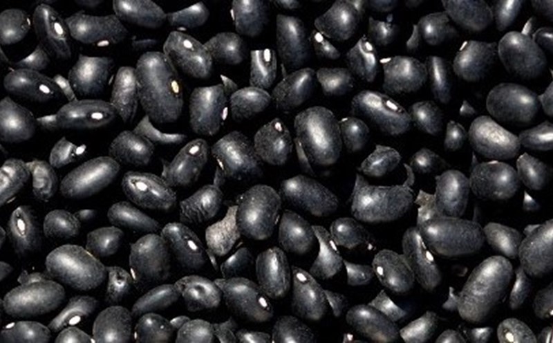 Fiber is an important component of the diet. Photo: Pham My.