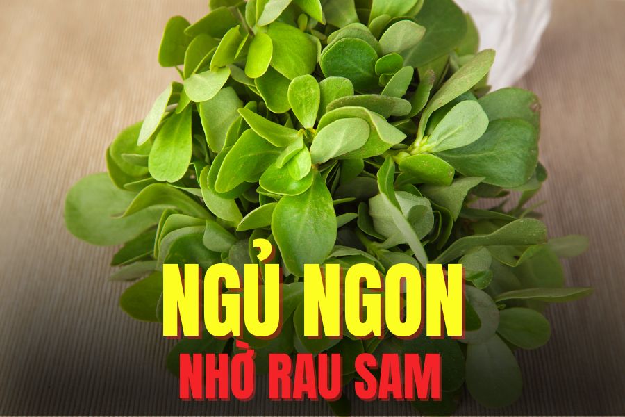 El sandwich contiene melatonina, una hormona natural que puede ayudar a dormir mejor. El dibujo: Mi te